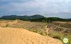 Parque Natural de las Dunas de Liencres