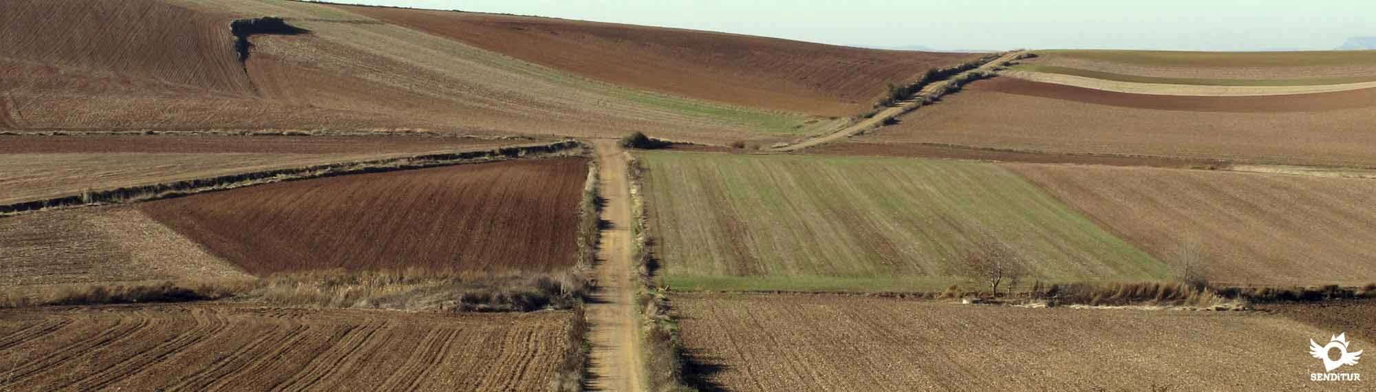 Way of Saint James
