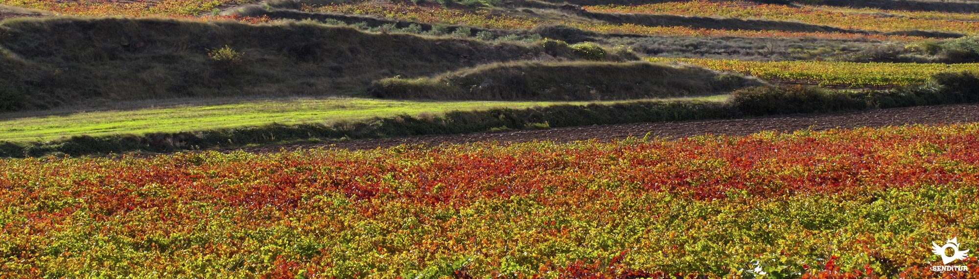 Otoño en La Rioja