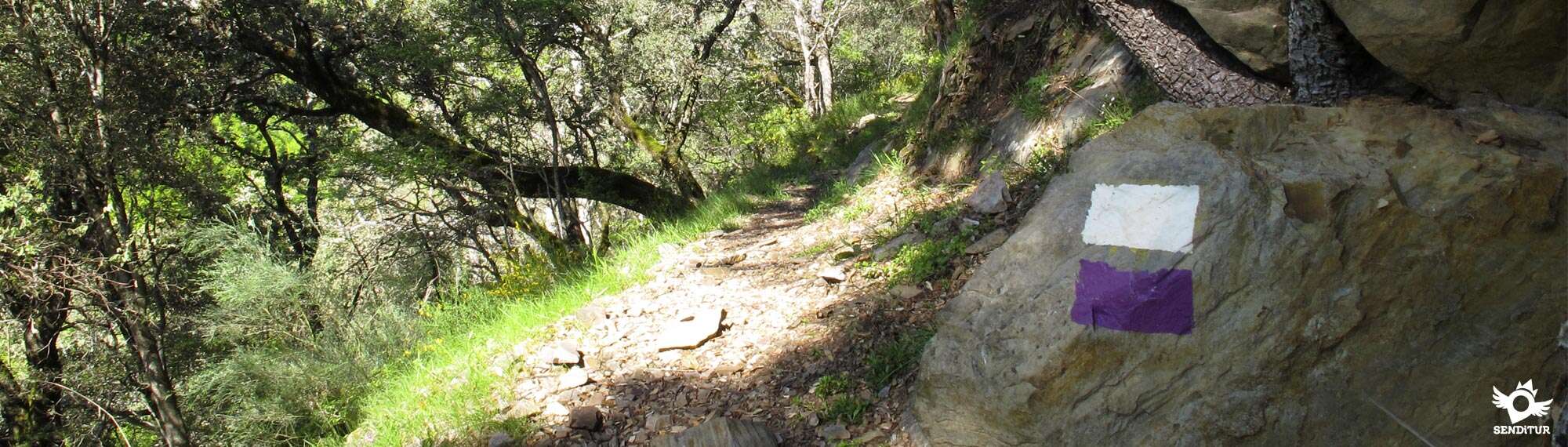 Local Hiking Trails