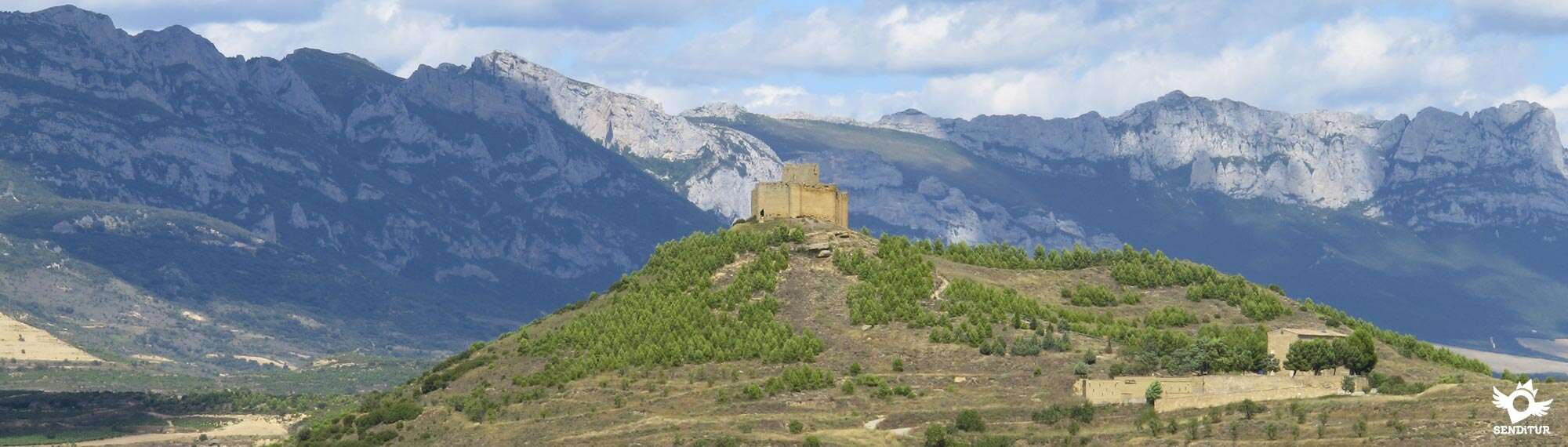 Castle of Davalillo