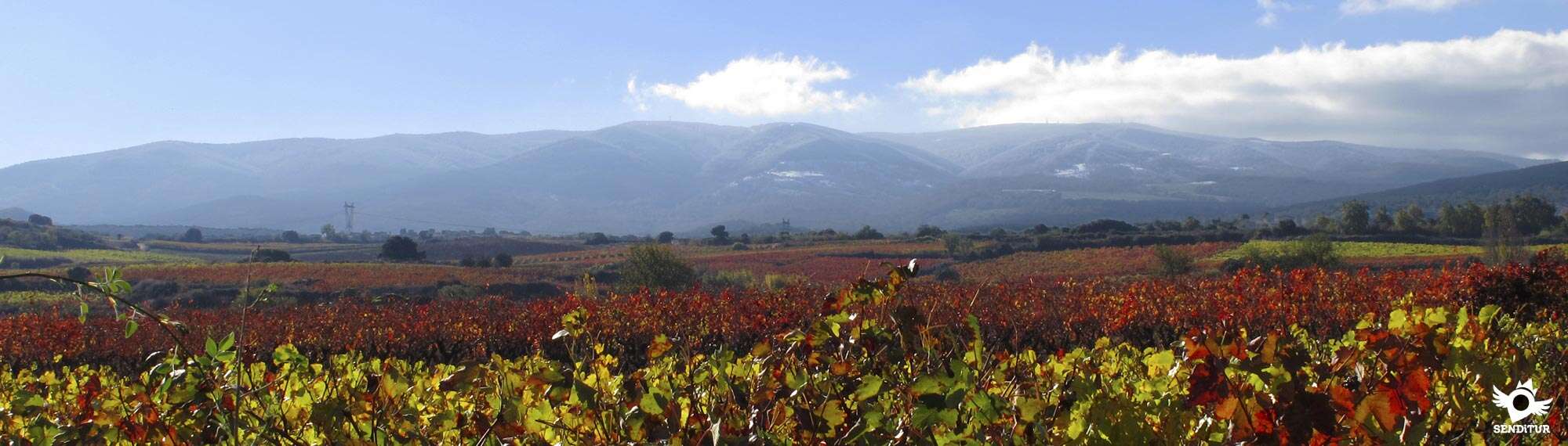 Wine Route of La Rioja Alta