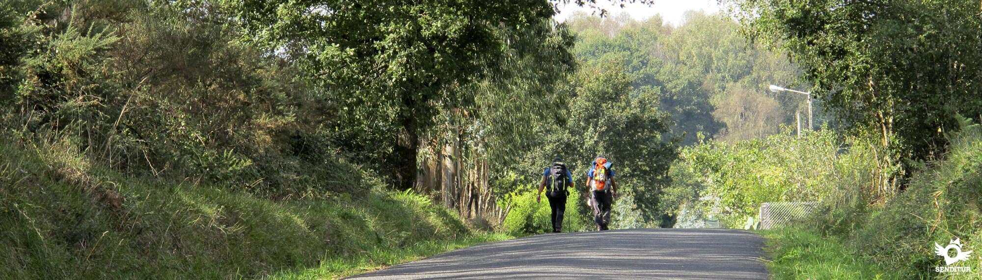 Stage 11 San Romao da Retorta-Melide