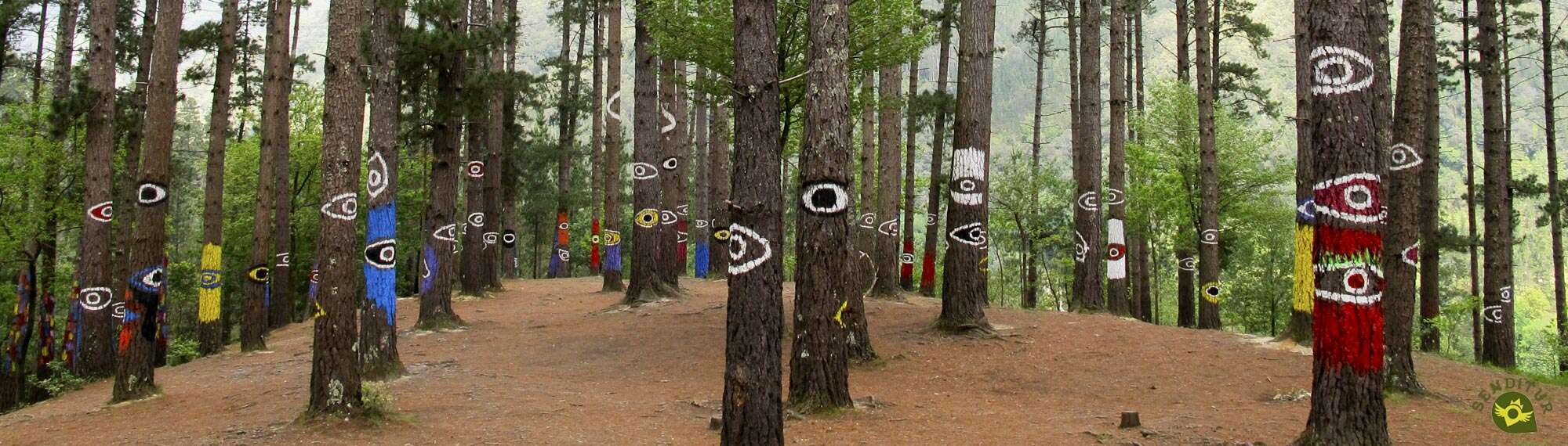 Bosque Pintado de Oma