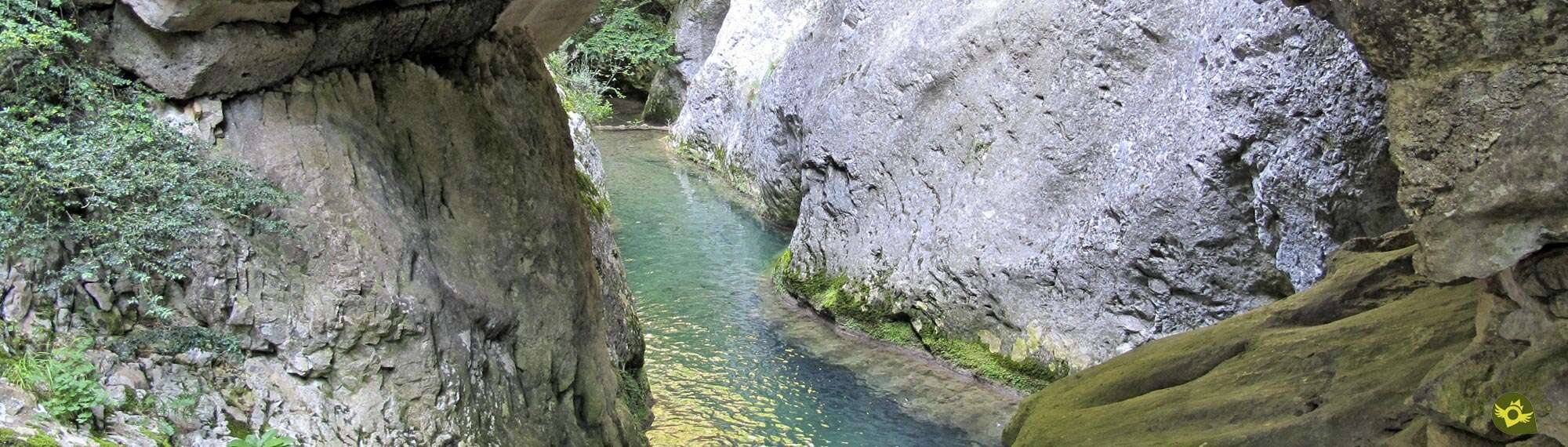 Gorge of the Purón River