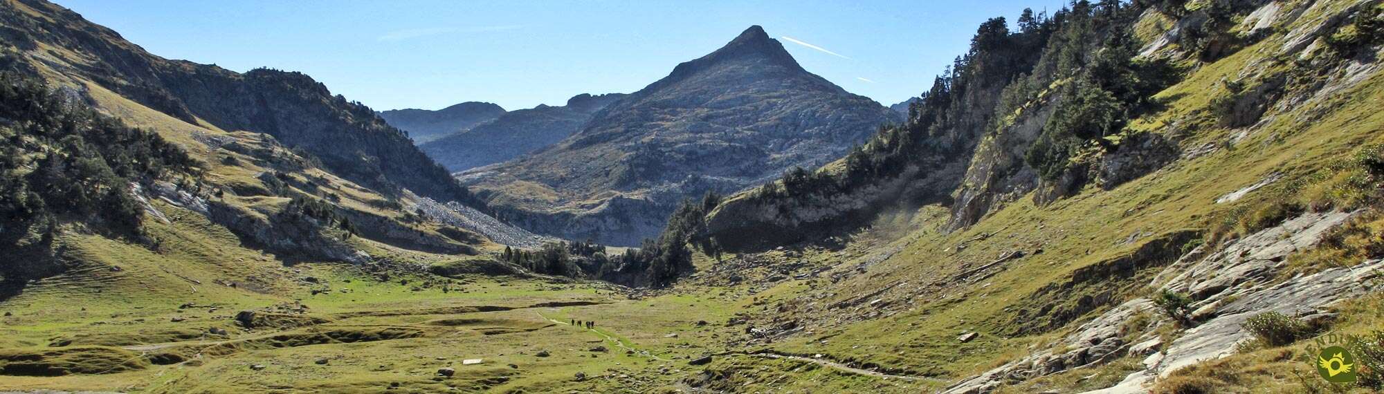 Forau de Aiguallut
