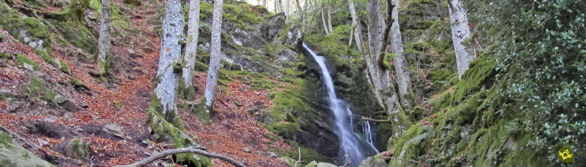 Path of the Altuzarra Waterfalls
