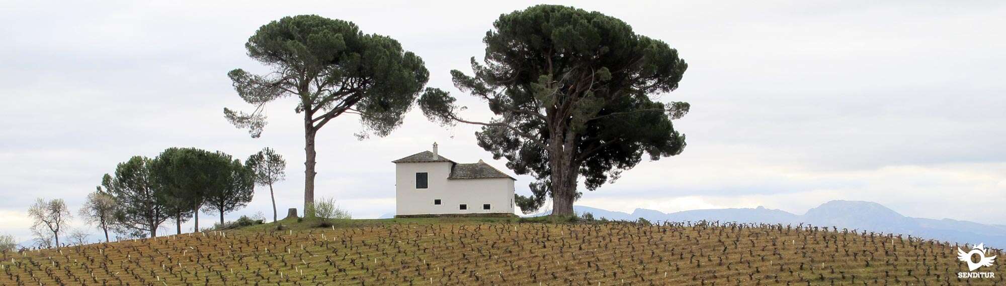 Etapa 21 Ponferrada-Villafranca del Bierzo
