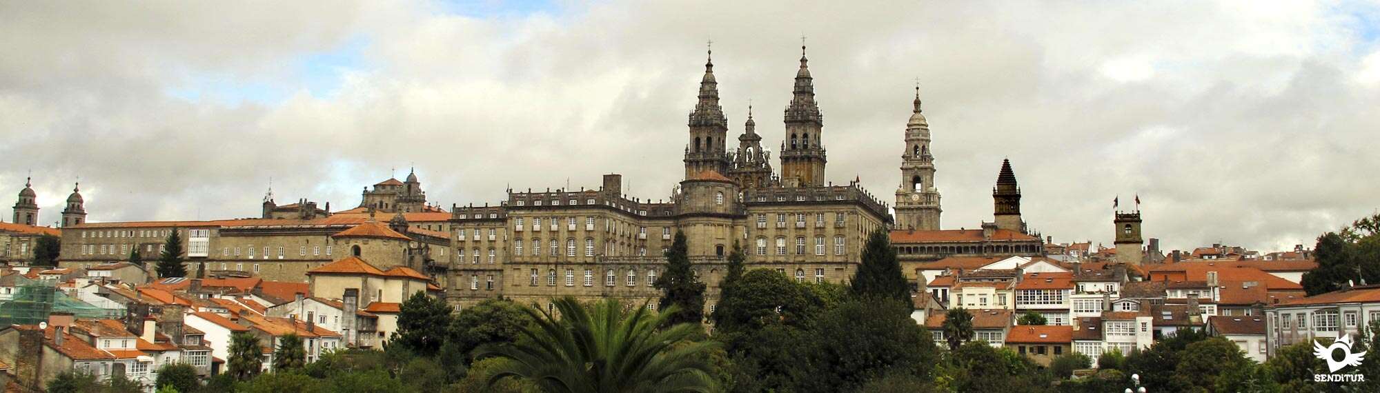 Etapa 29 O Pedrouzo-Santiago de Compostela
