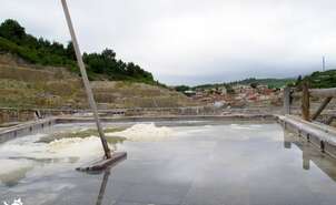 saline
