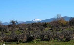 San Lorenzo Peak