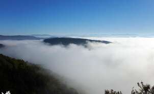 Sea of clouds in the valley