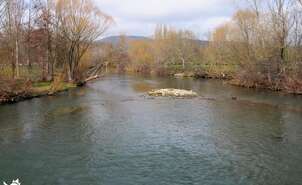 River Arga