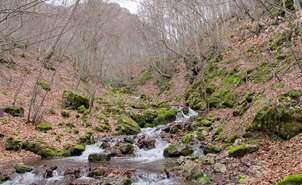 04-Arroyo del Regatillo