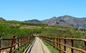 05-Vía verde de Préjano