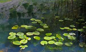 Source of the Ucero River