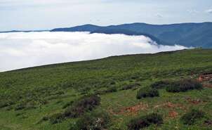 Niebla en el Valle del Najerilla