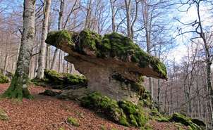 La Txapela in the enchanted forest of Urbasa