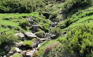 06-Arroyo en el barranco de Campos Largos
