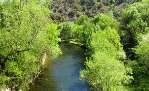 Najerilla River
