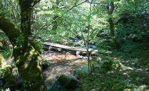 04-Río Rigüelo