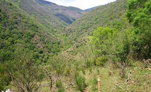 03-Barranco de Rigüelo