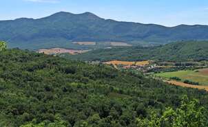 Bujanda