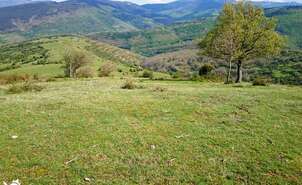 08-Parque Natural de Sierra Cebollera