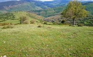 Sierra Cebollera Natural Park