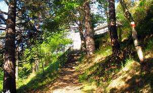 Stairs at the beginning of the trail
