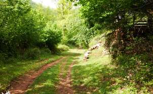 Turza Path