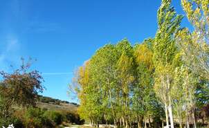 01-Área de descanso junto a Atapuerca