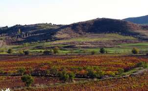 04-La Rioja land of contrasts