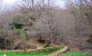 02-Rincones del Camino de Santiago