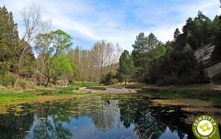 Natural Monument of La Fuentona