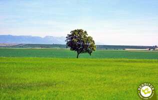 Vía verde del Oja. Tramo 1 Casalarreina-Stº Domingo de la Calzada