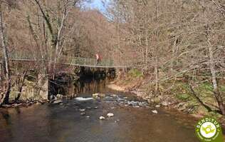 Path of The Encontrada