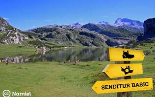 Circular route of the Covadonga Lakes