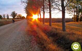 Etapa 15 Carrión de los Condes-San Nicolás del Real Camino