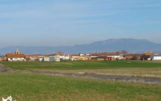 Qué ver en Ciriñuela
