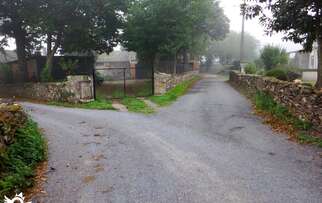 See accommodation in Castrelo
