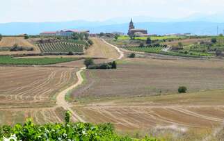 See things to do in Zarratón