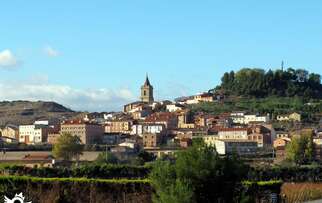 See things to do in Navarrete