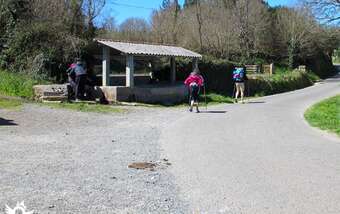 What to see in Lestedo