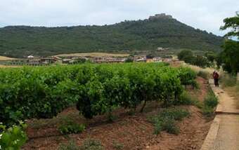 What to visit in Villamayor de Monjardín