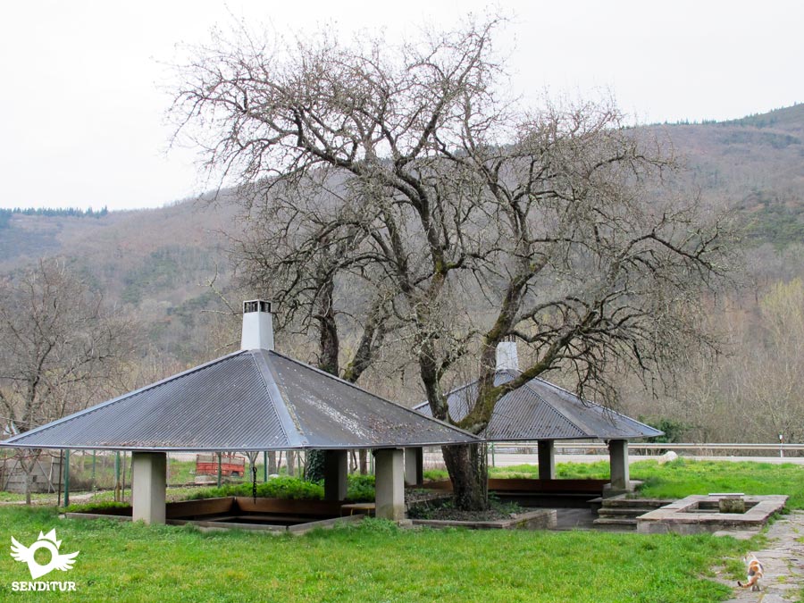 Pereje/Perexe