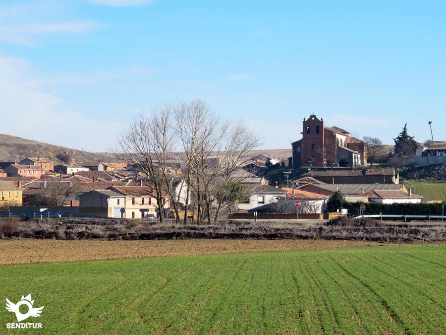 Ledigos
