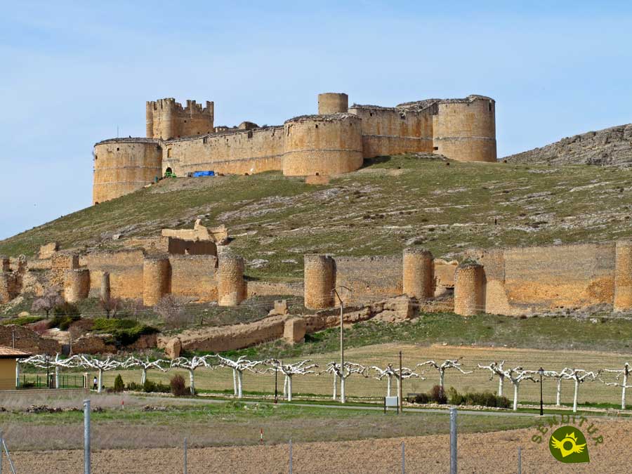 Castle of Berlanga de Duero