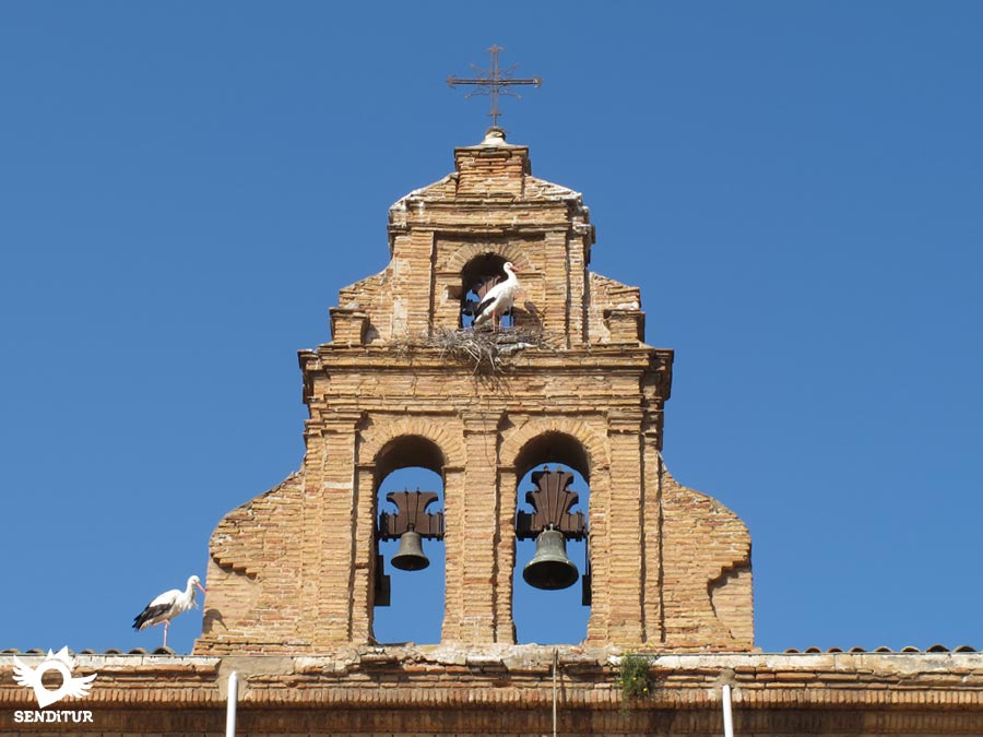 Convent of San Francisco in Alfaro