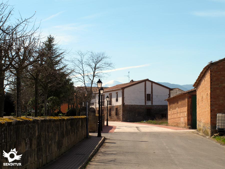 Cañas